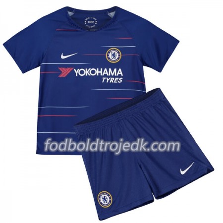 Chelsea Børn Hjemme 2018/19 - Fodboldtrøjer(S/S)